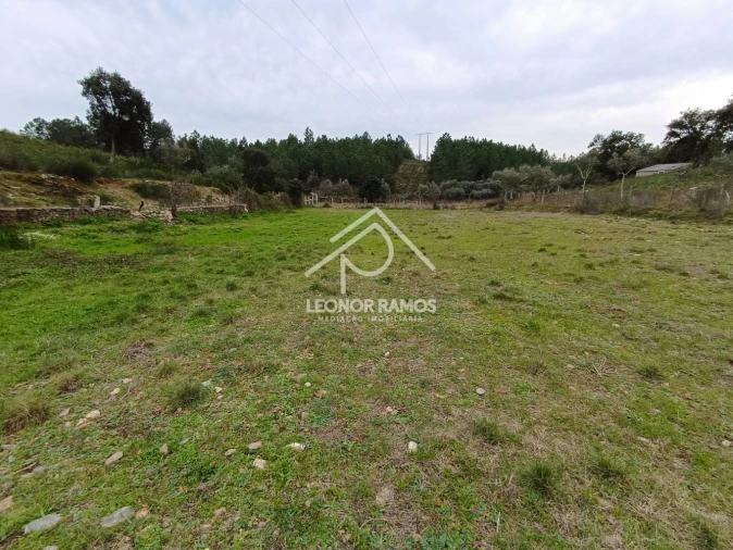 Terreno para Venda em Benquerenças Foto 17