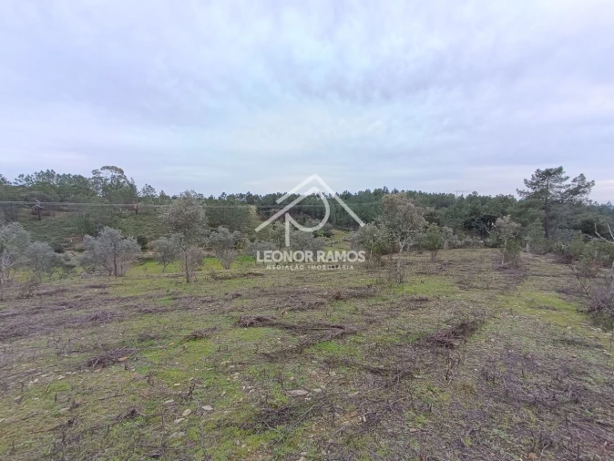 Terreno para Venda em Benquerenças Foto 5