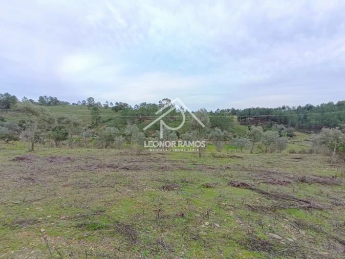 Terreno para Venda em Benquerenças Foto 4