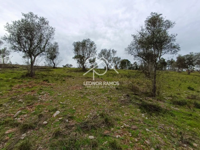 Terreno para Venda em Benquerenças Foto 15