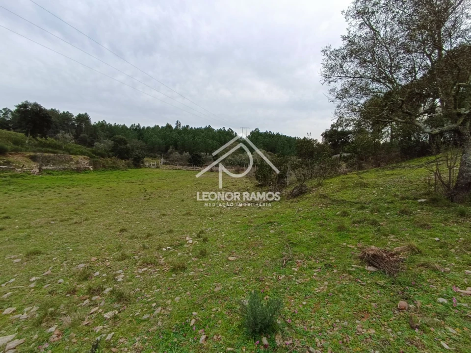Terreno para Venda em Benquerenças Foto 16