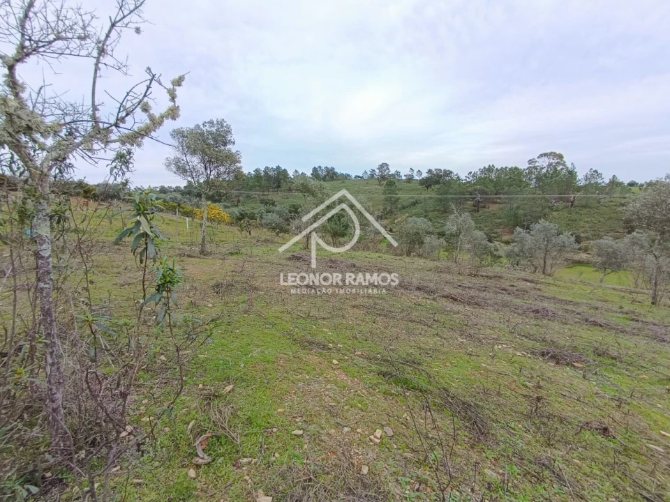 Terreno para Venda em Benquerenças Foto 3
