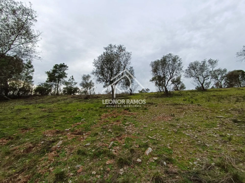 Terreno para Venda em Benquerenças Foto 14