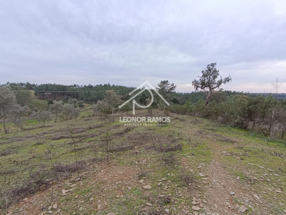 Terreno para Venda em Benquerenças Foto 2