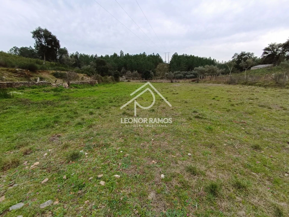 Terreno para Venda em Benquerenças Foto 17