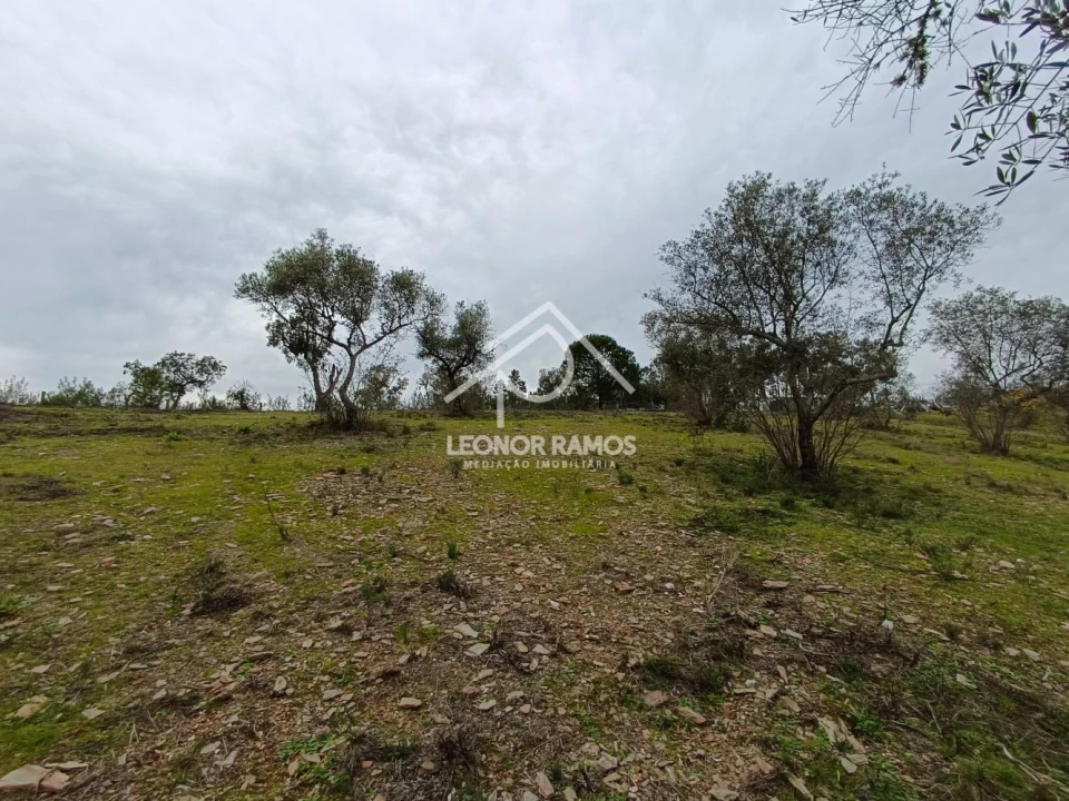 Terreno para Venda em Benquerenças Foto 10