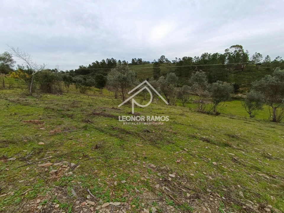 Terreno para Venda em Benquerenças Foto 6
