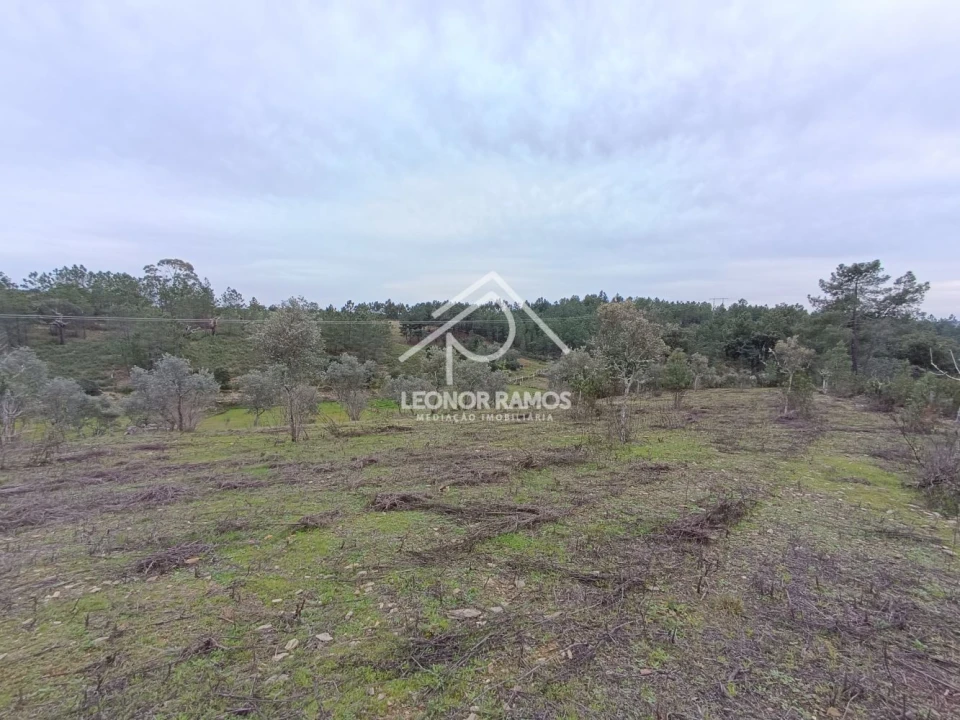 Terreno para Venda em Benquerenças Foto 5