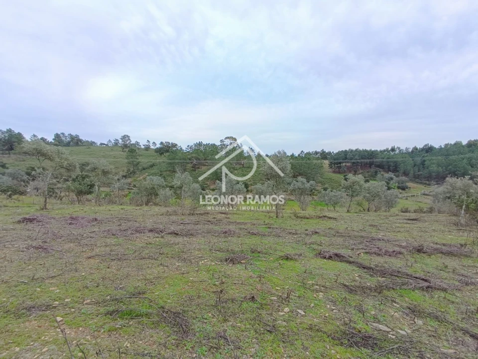 Terreno para Venda em Benquerenças Foto 4