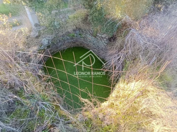 Terreno para Venda em Salgueiro do Campo