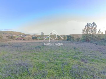 Terreno para Venda em Salgueiro do Campo