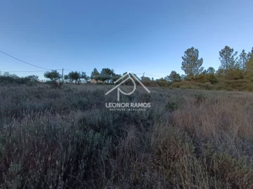 Terreno para Venda em Salgueiro do Campo