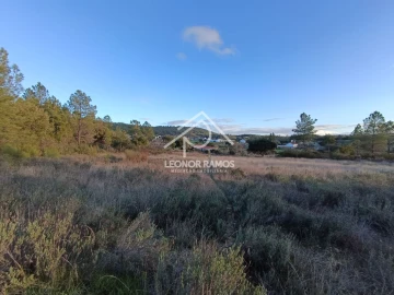 Terreno para Venda em Salgueiro do Campo