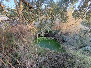 Terreno para Venda em Salgueiro do Campo