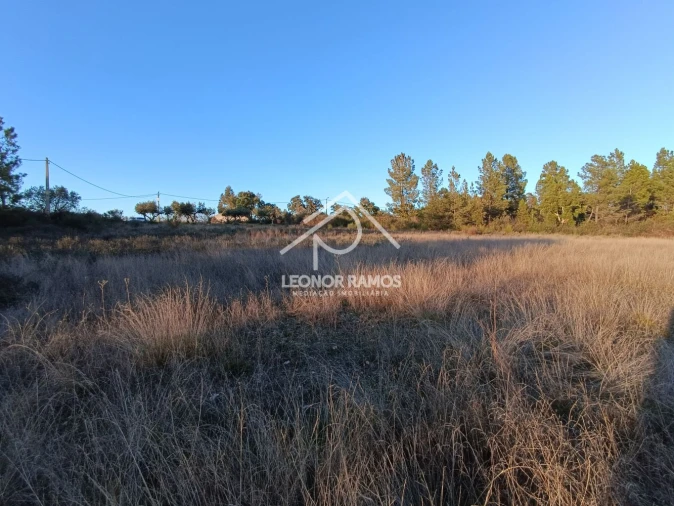 Terreno para Venda em Salgueiro do Campo Foto 13