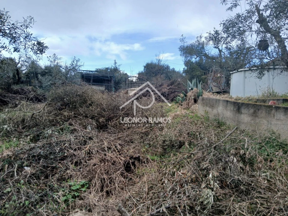 Quinta T0 para Venda em Capinha Foto 19