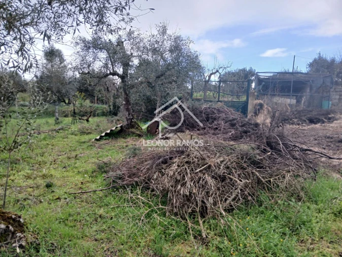 Quinta T0 para Venda em Capinha Foto 20