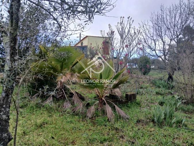 Quinta T0 para Venda em Capinha Foto 16