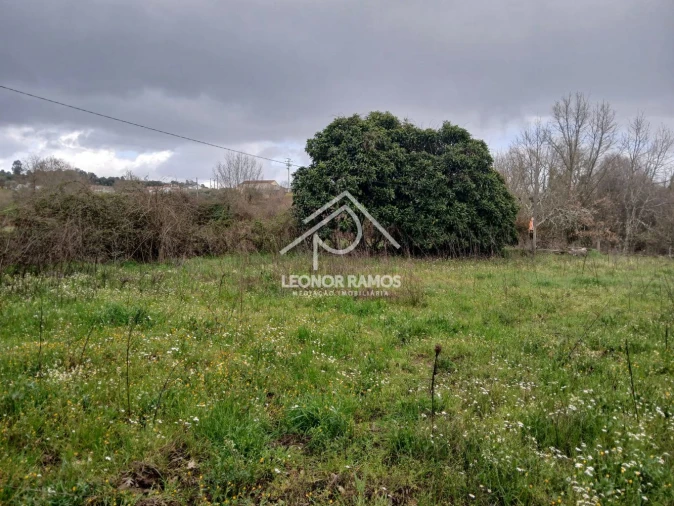 Quinta T0 para Venda em Capinha Foto 5