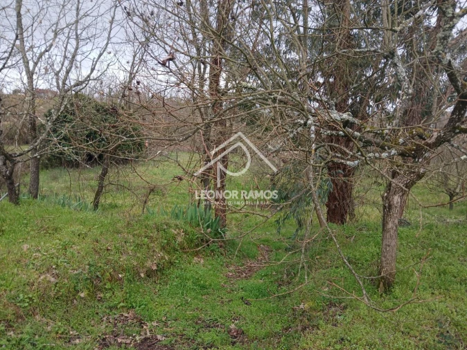 Quinta T0 para Venda em Capinha Foto 12