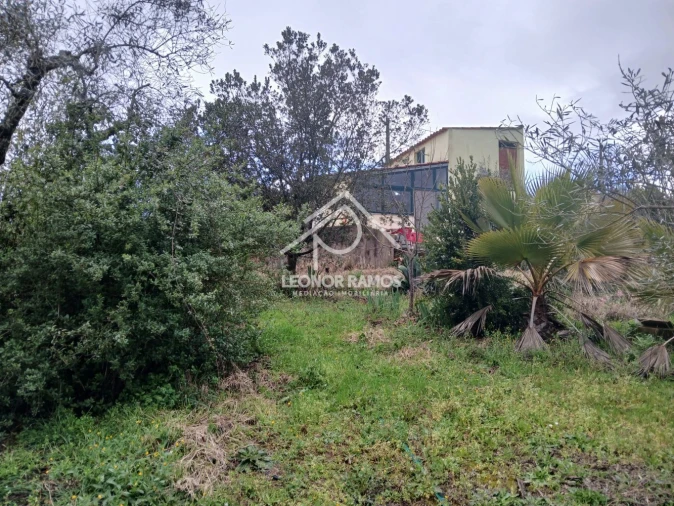 Quinta T0 para Venda em Capinha Foto 17