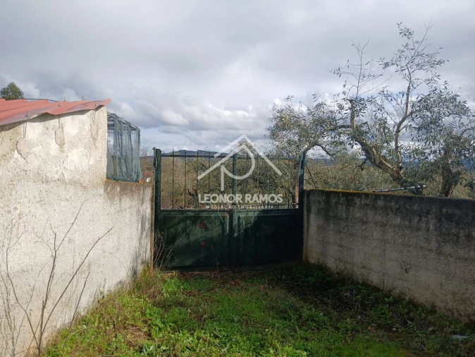 Quinta T0 para Venda em Capinha Foto 54