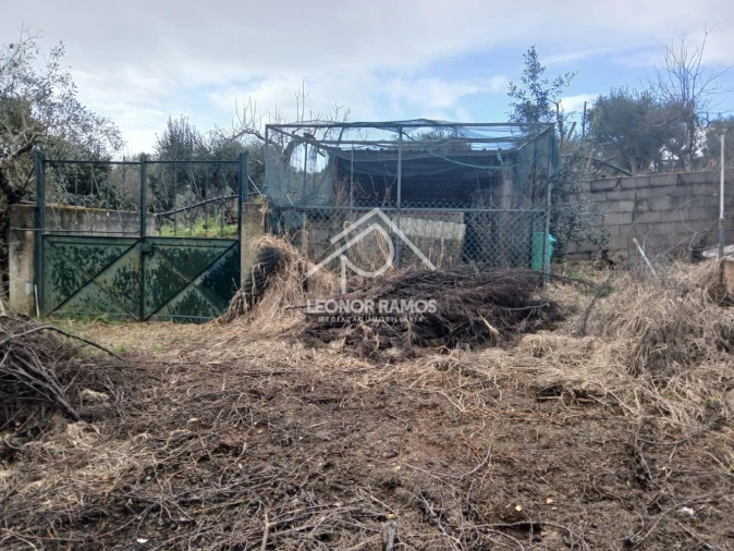 Quinta T0 para Venda em Capinha Foto 23