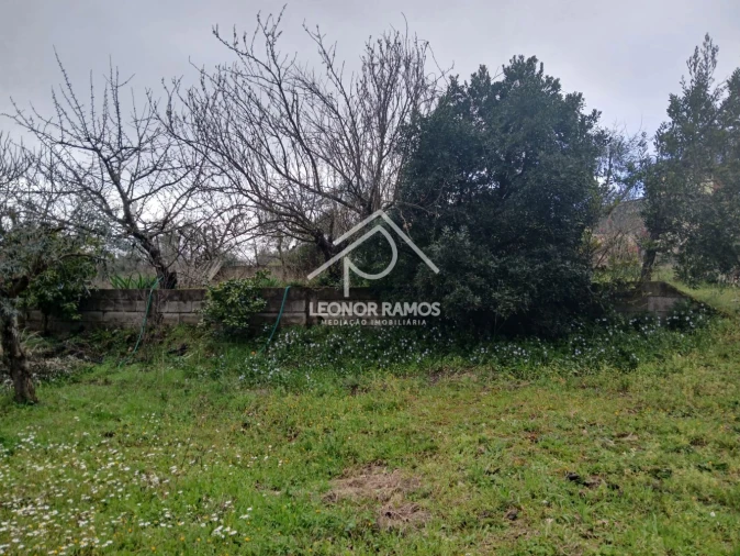 Quinta T0 para Venda em Capinha Foto 9