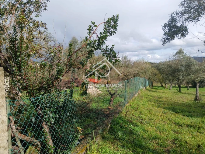 Quinta T0 para Venda em Capinha Foto 56