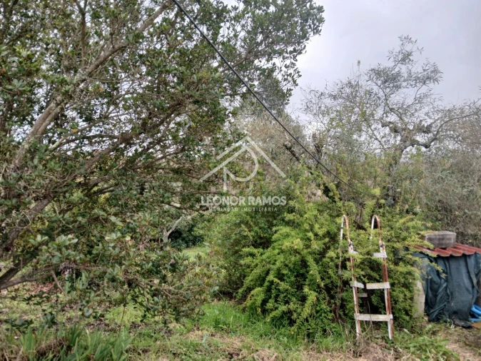 Quinta T0 para Venda em Capinha Foto 27