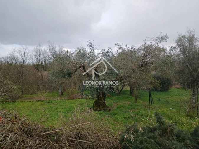 Quinta T0 para Venda em Capinha Foto 22