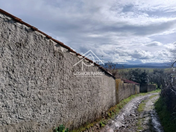 Quinta T0 para Venda em Capinha Foto 53