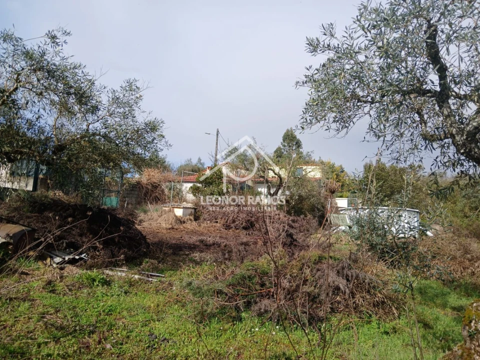 Quinta T0 para Venda em Capinha Foto 57