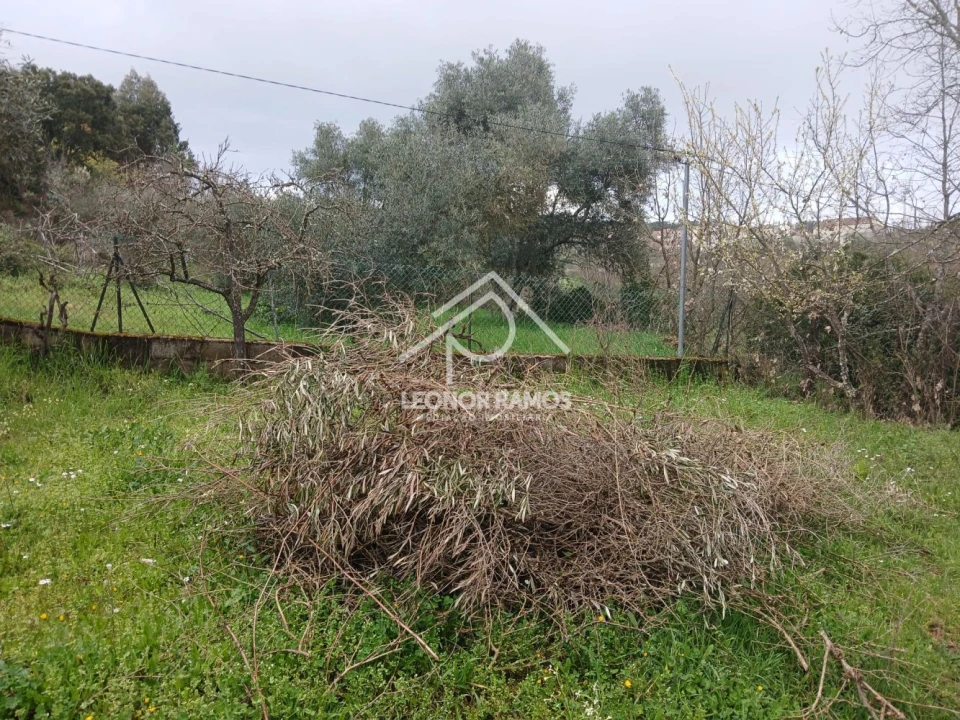 Quinta T0 para Venda em Capinha Foto 11