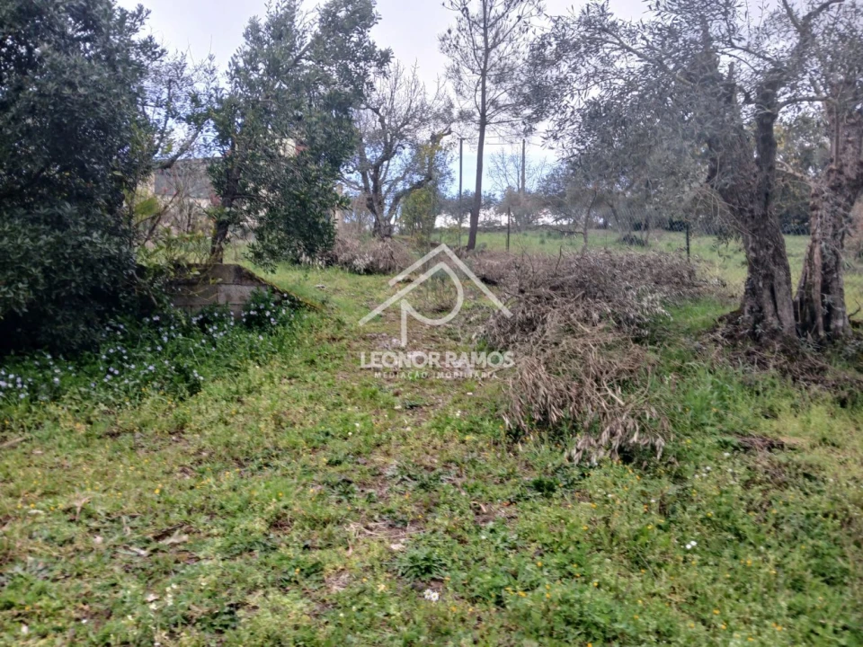 Quinta T0 para Venda em Capinha Foto 8