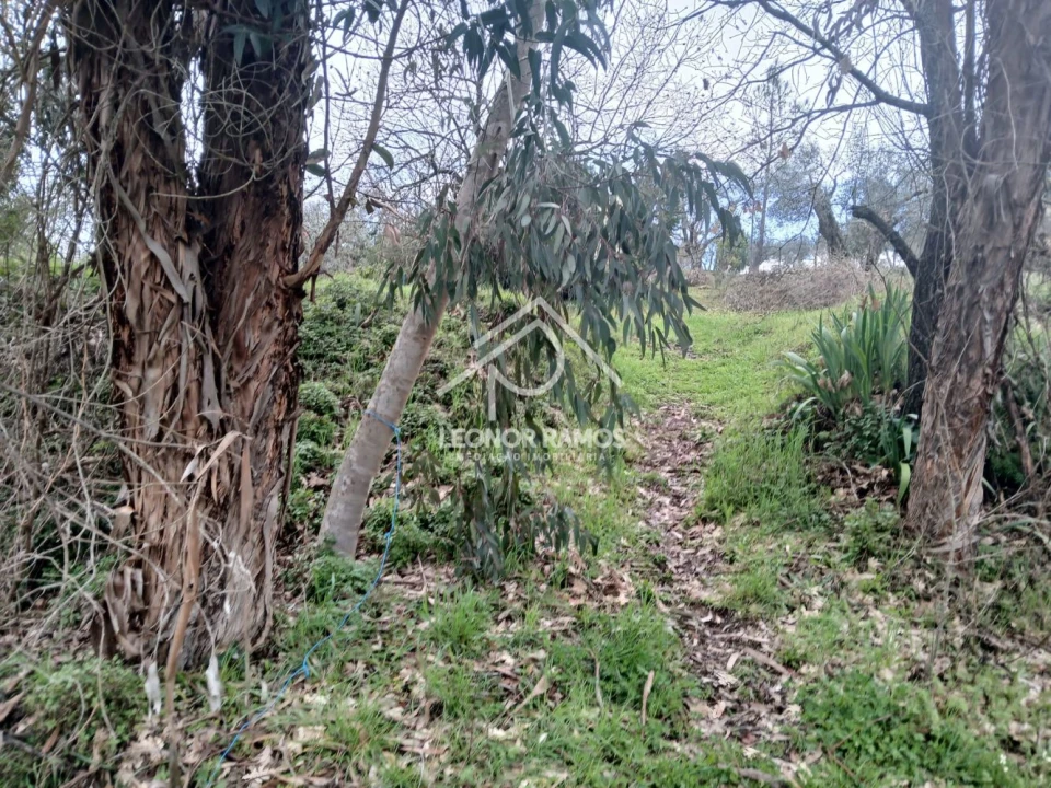 Quinta T0 para Venda em Capinha Foto 10