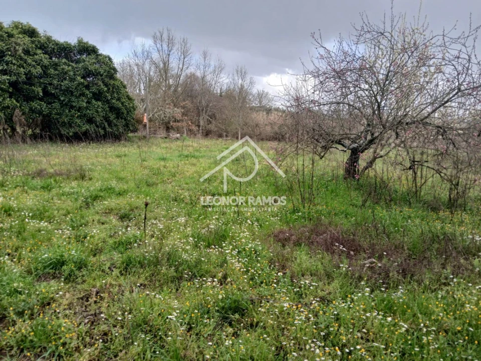 Quinta T0 para Venda em Capinha Foto 2