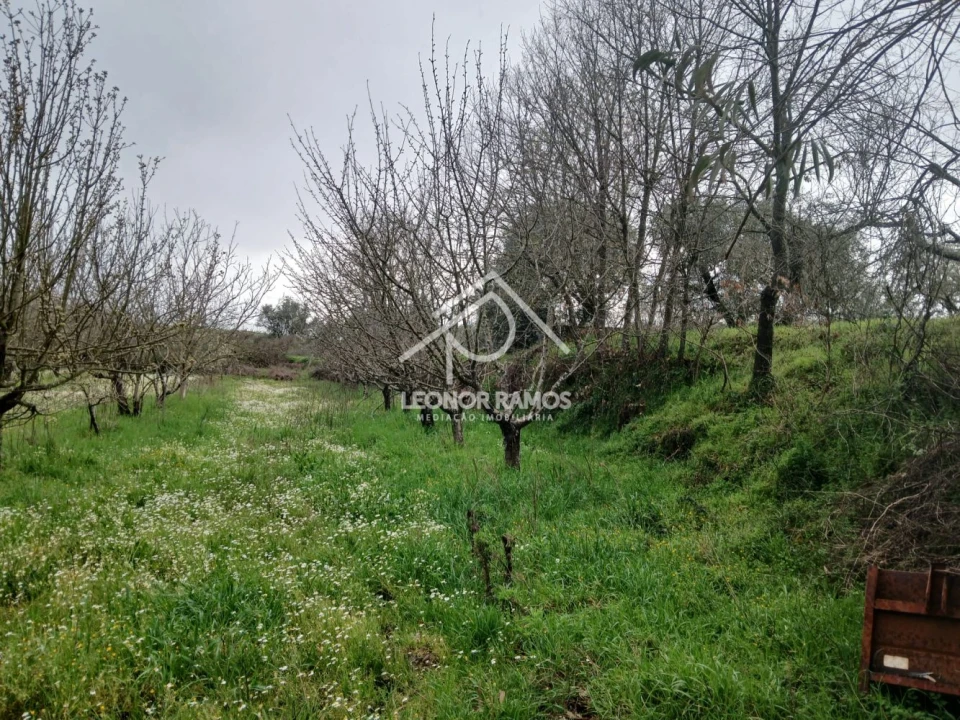 Quinta T0 para Venda em Capinha Foto 7