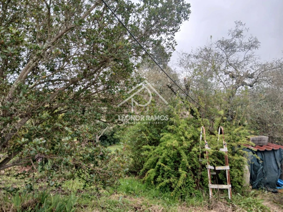 Quinta T0 para Venda em Capinha Foto 27