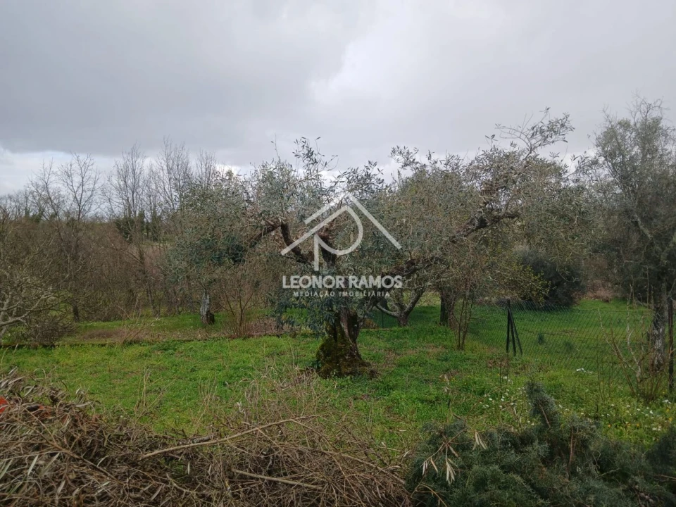 Quinta T0 para Venda em Capinha Foto 22