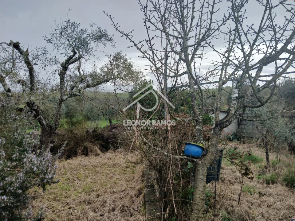 Quinta T0 para Venda em Capinha Foto 28