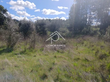 Terreno para Venda em Sarzedas