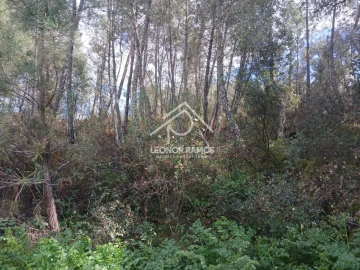 Terreno para Venda em Sarzedas