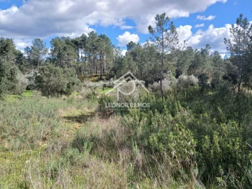 Terreno para Venda em Sarzedas