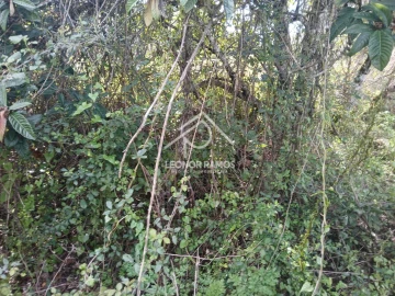 Terreno para Venda em Sarzedas