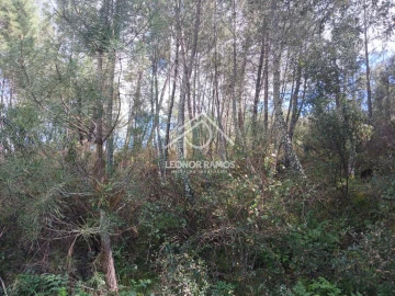 Terreno para Venda em Sarzedas