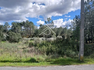 Terreno para Venda em Sarzedas