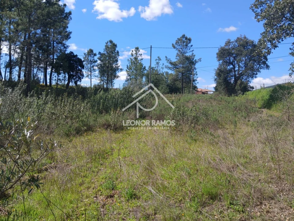 Terreno para Venda em Sarzedas Foto 14