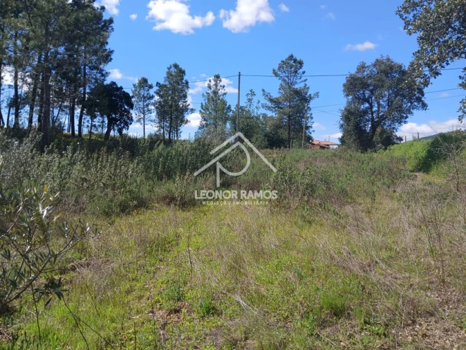 Terreno para Venda em Sarzedas Foto 14