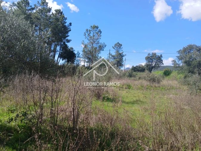 Terreno para Venda em Sarzedas Foto 5